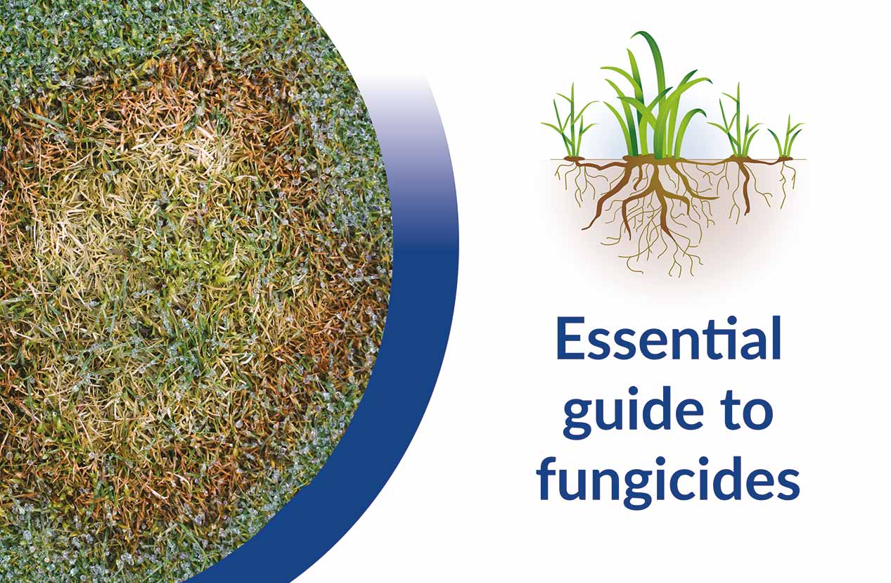 Essential guide to fungicides
